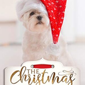 dog with a Santa hat